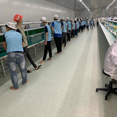 CÔNG TRÌNH SÀN NHỰA SPC MAGIC - ĐỨC DP4203 & DP4206