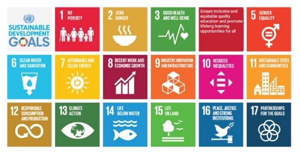 Sàn vinyl phòng khám san-nhua-dep